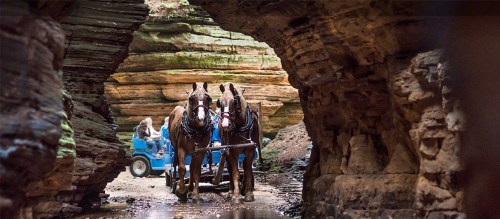 Two horses pull a cart through a narrow canyon, with colorful rock formations on either side.