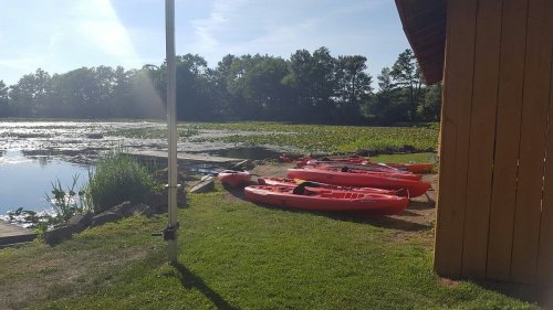 Colorful kayaks lined up on the shore by a calm lake, with lush greenery and a wooden dock in the background.