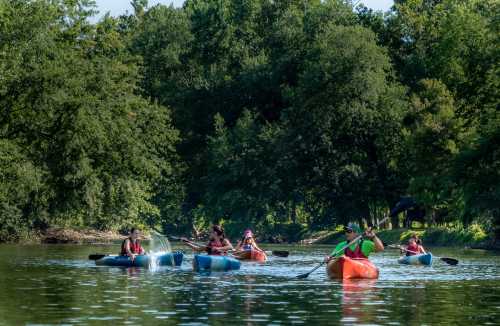 A group of people kayaking on a calm river surrounded by lush green trees on a sunny day.