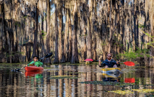 Two kayakers paddle through a serene, tree-lined swamp, surrounded by tall cypress trees and calm waters.