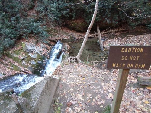 A small waterfall flows beside a caution sign warning against walking on the dam, surrounded by trees and fallen leaves.