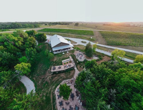 Aerial view of a vineyard with a modern building, surrounded by greenery and a winding path at sunset.