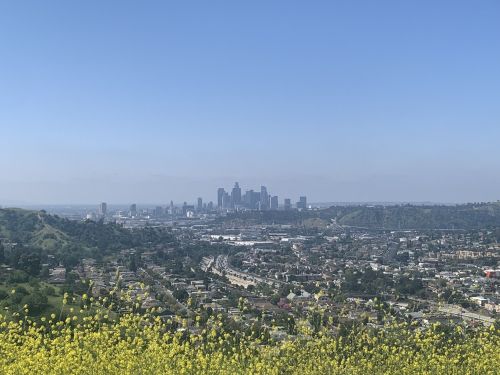 A panoramic view of a city skyline surrounded by green hills and yellow wildflowers under a clear blue sky.