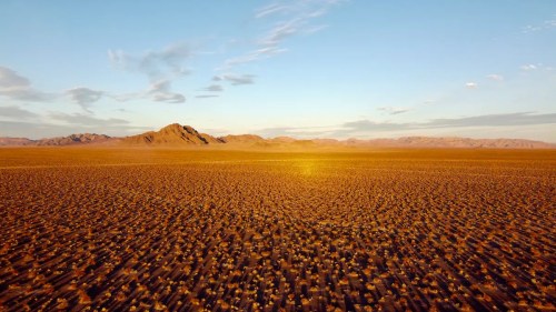 A vast desert landscape under a clear sky, with distant mountains and a warm, golden light illuminating the terrain.