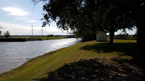 A serene riverside scene with trees, grassy banks, and a shimmering waterway under a clear sky.