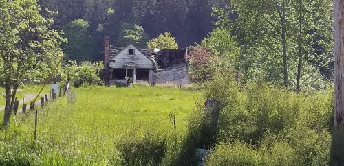 Abandoned house surrounded by overgrown grass and trees, with a clear blue sky in the background.