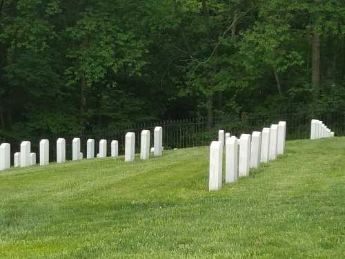 A serene cemetery with white gravestones set against a backdrop of green trees and grass.