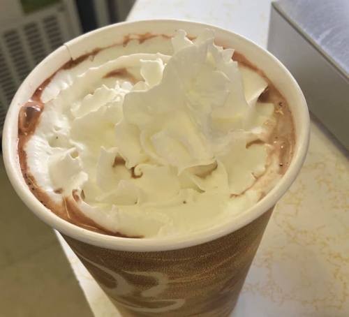 A cup of hot chocolate topped with a generous swirl of whipped cream.