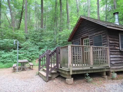 A rustic wooden cabin surrounded by lush green trees, featuring a small deck and a picnic table nearby.