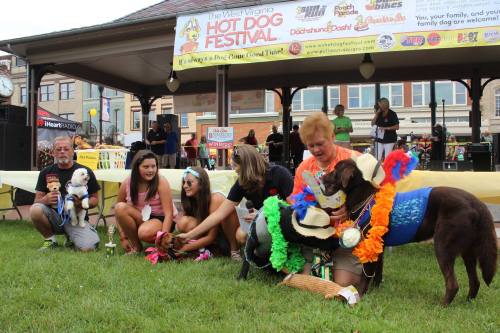 A group of people and dogs in costumes at the West Virginia Hot Dog Festival, with a festive banner in the background.