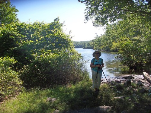 A person stands by a serene river, surrounded by lush greenery, holding a walking stick on a sunny day.