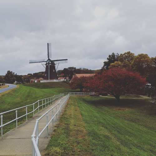 A scenic view of a windmill surrounded by green grass and a red tree under a cloudy sky.