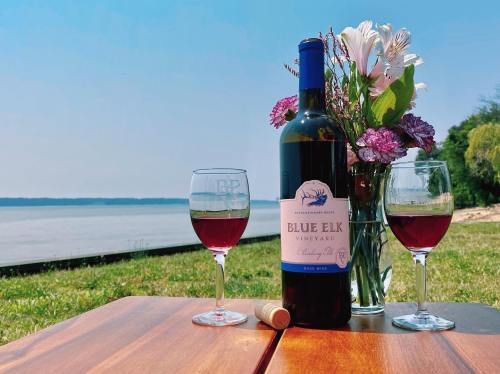A bottle of Blue Elk Vineyard rosé wine with two glasses, a cork, and a bouquet of flowers by a lakeside.
