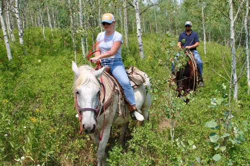 Two people riding horses through a lush green forest with aspen trees on a sunny day.
