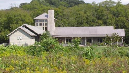 A modern house with a stone chimney, large windows, and a metal roof, surrounded by greenery and trees.