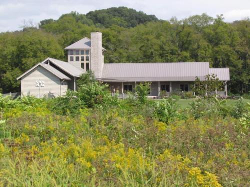 A modern house with a metal roof, surrounded by greenery and wildflowers, set against a wooded backdrop.