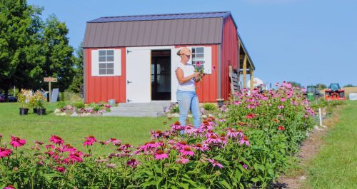 A woman holds flowers while walking in a garden with colorful blooms and a red shed in the background.