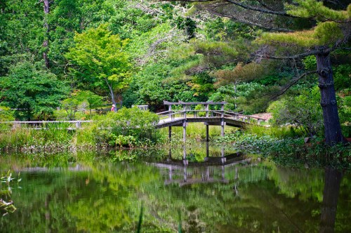 A serene garden scene featuring a wooden bridge over a calm pond, surrounded by lush greenery and trees.
