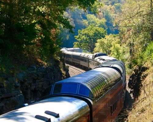 A train winds through a lush, green landscape, surrounded by trees and rocky terrain.