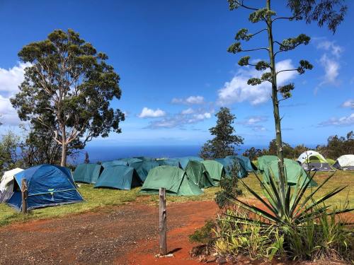 A campsite with green tents set against a blue sky and ocean view, surrounded by trees and plants.