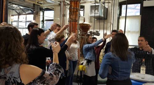 A group of people toasting with drinks in a distillery, surrounded by distillation equipment.