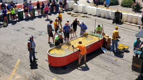A group of people in colorful shirts gather around a large tub filled with yellow objects, likely participating in a festival event.