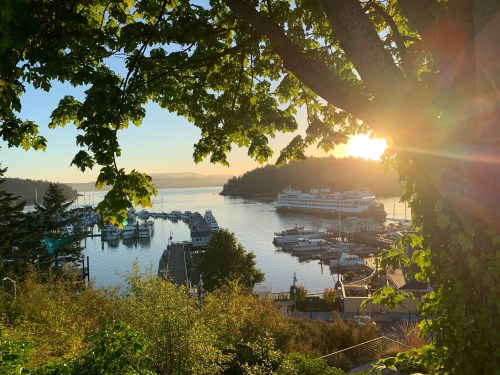 A serene marina at sunset, framed by tree leaves, with boats docked and a ferry in the distance.