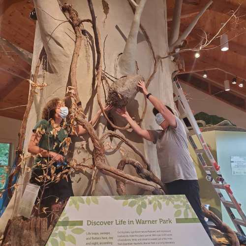 Two people interact with a large tree exhibit indoors, with a sign reading "Discover Life in Warner Park" in the foreground.