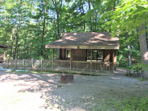 A wooden cabin surrounded by trees, featuring a porch and a fire pit in the foreground.