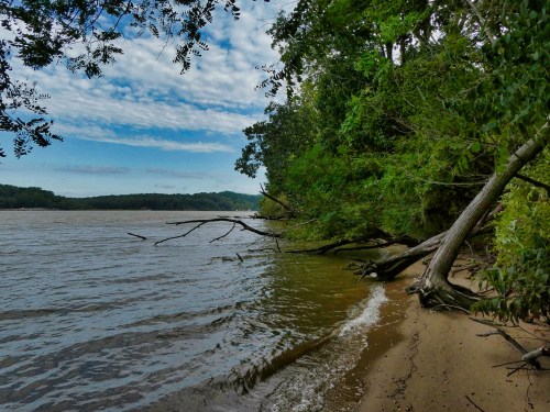 A serene riverbank scene with trees, sandy shore, and a cloudy sky reflecting over the water.