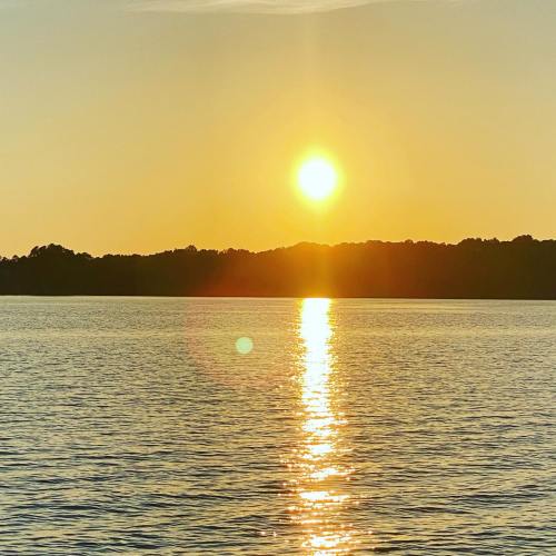 A serene sunset over a calm lake, with golden sunlight reflecting on the water's surface.