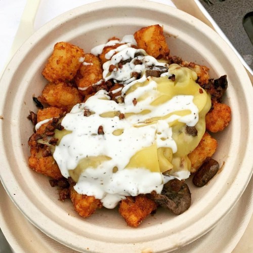 A bowl of crispy tater tots topped with cheese, mushrooms, and drizzled with creamy sauce.