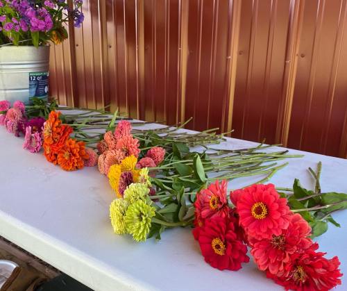 A variety of colorful flowers arranged on a table against a red metal background.