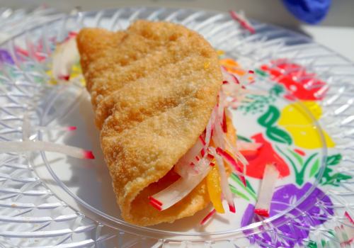 A crispy taco filled with colorful vegetables, served on a decorative plate with floral patterns.