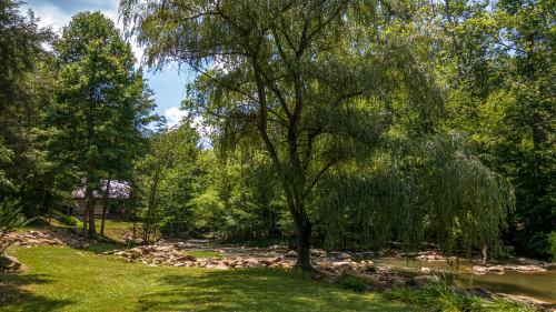 A serene landscape featuring a lush green area with a large tree, rocks, and a calm stream under a clear blue sky.