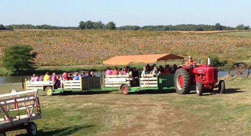 A tractor pulls a hayride filled with people near a pumpkin patch and a pond on a sunny day.