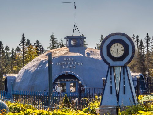 A whimsical blue dome building labeled "Nilo Blueberry Land," surrounded by greenery and a large clock nearby.