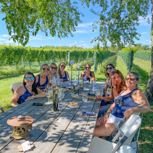 A group of eight women enjoying wine at a vineyard picnic table, surrounded by lush grapevines and a clear blue sky.