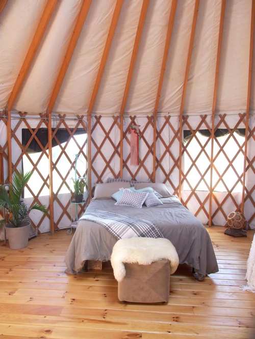 Cozy interior of a yurt featuring a bed, wooden floors, and decorative plants. Warm, inviting atmosphere.