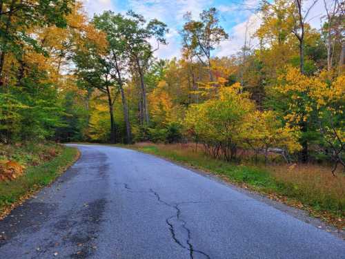 A winding road surrounded by vibrant autumn trees and colorful foliage under a partly cloudy sky.