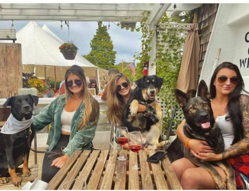 Four women sit at a table with two dogs, enjoying drinks outdoors in a lively setting.