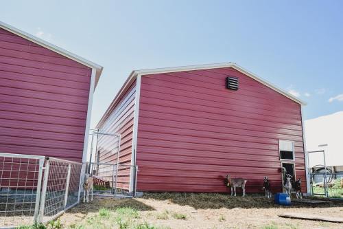 Two red barn-like structures with a fenced area, featuring goats near the entrance on a sunny day.