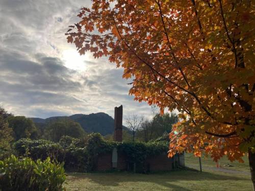 A vibrant orange tree in the foreground with a cloudy sky and mountains in the background, near a rustic brick structure.