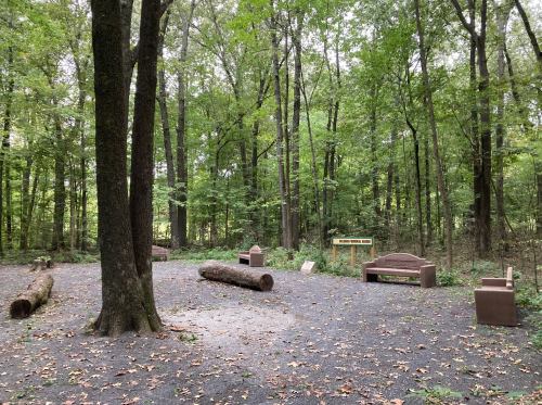 A serene forest clearing with benches, logs, and a sign, surrounded by lush green trees and gravel paths.