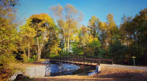 A scenic view of a bridge over a small stream, surrounded by colorful autumn trees and clear blue skies.