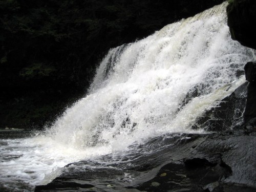 A cascading waterfall flows over rocky terrain, surrounded by lush greenery and splashing into a river below.