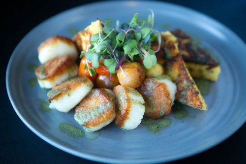 A plate of seared scallops with microgreens, roasted potatoes, and a drizzle of green sauce, served on a gray dish.