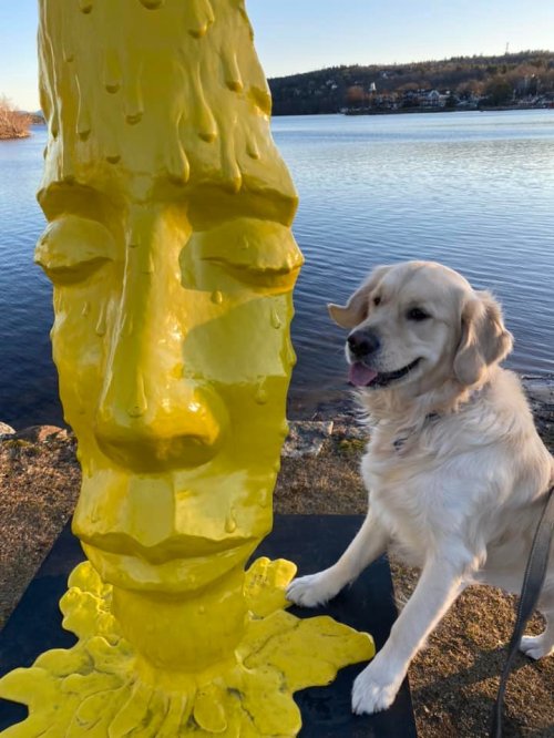 A golden retriever sits beside a large yellow sculpture of a face by a lake, with trees in the background.