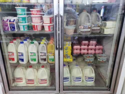 Refrigerator display with various milk jugs, eggs, yogurt, and other dairy products on shelves.