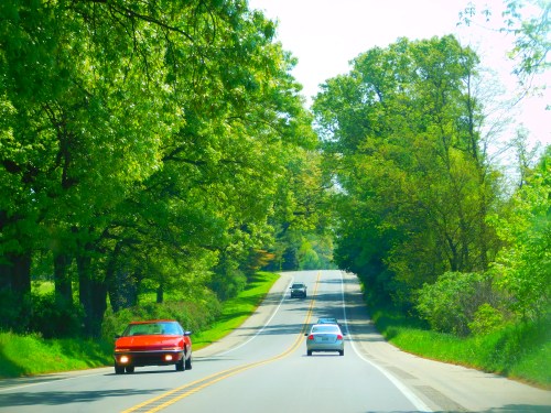 A scenic road lined with lush green trees, featuring two cars driving on a sunny day.